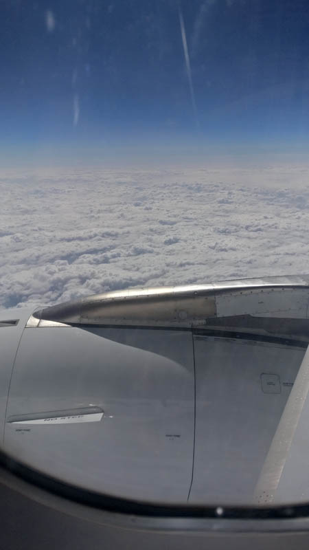 57206048_312782232745429_7208615698778554368_n